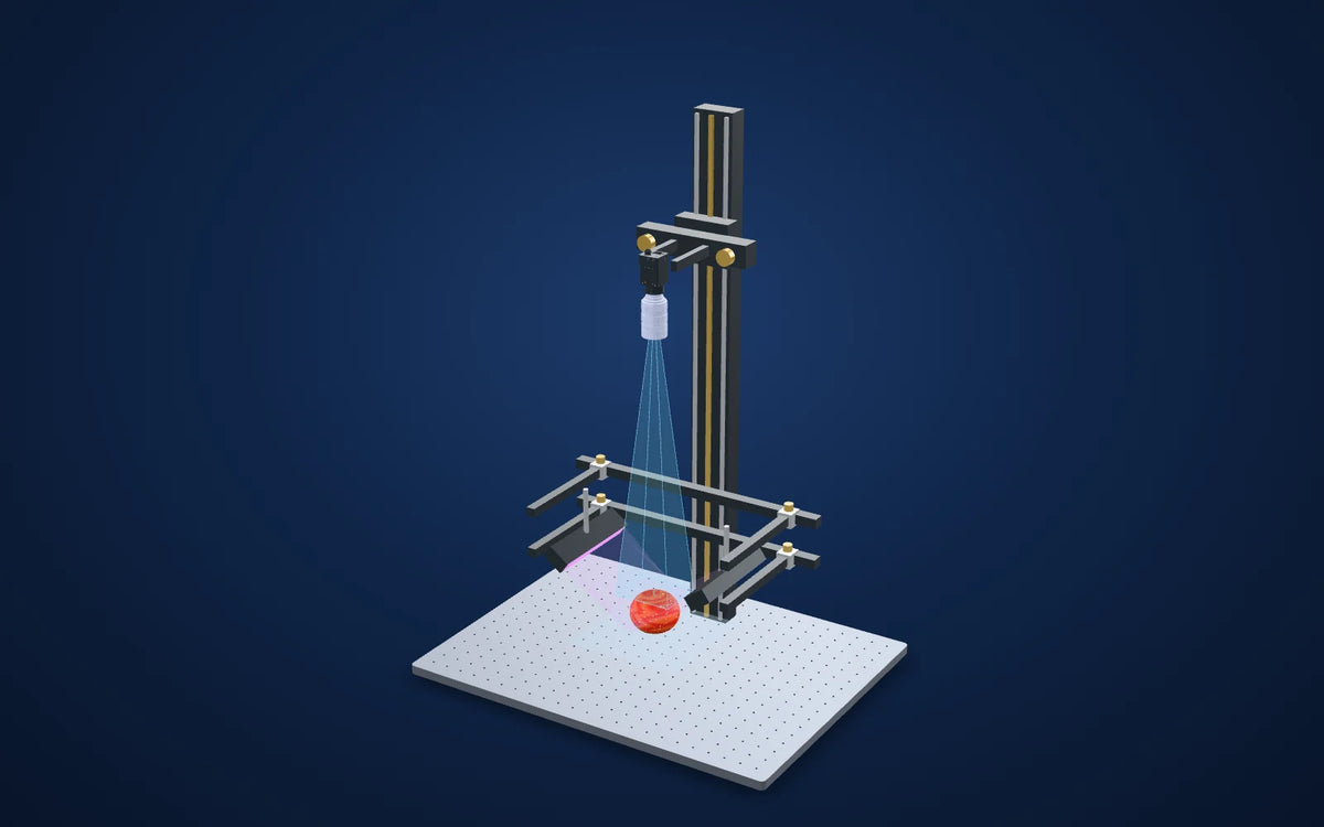 3D illustration of the inspection setup: Apple bruises: NIR vs SWIR